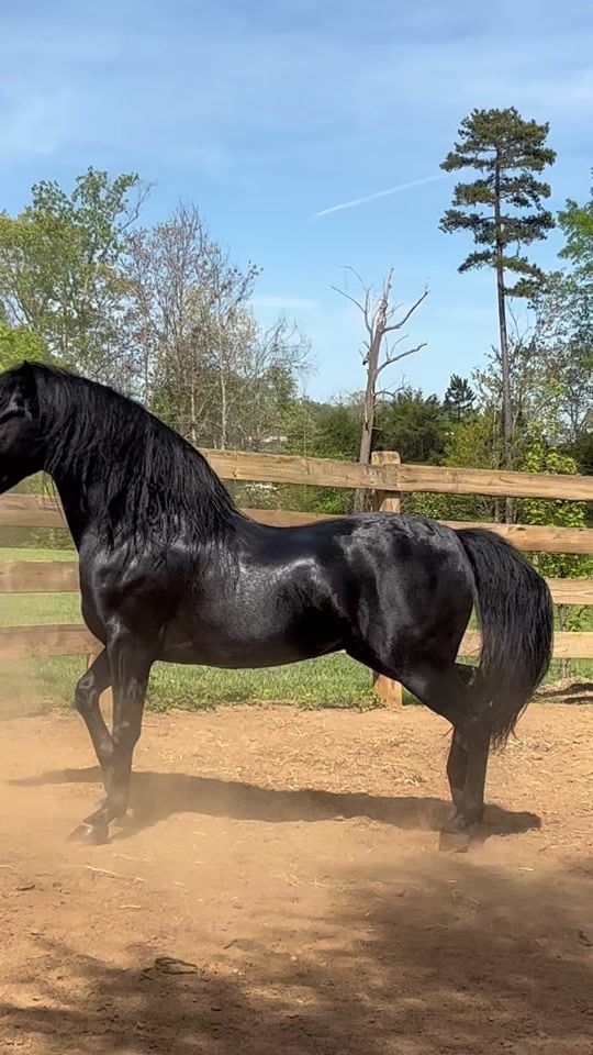 TikTok video thumbnail by diazfarmnc