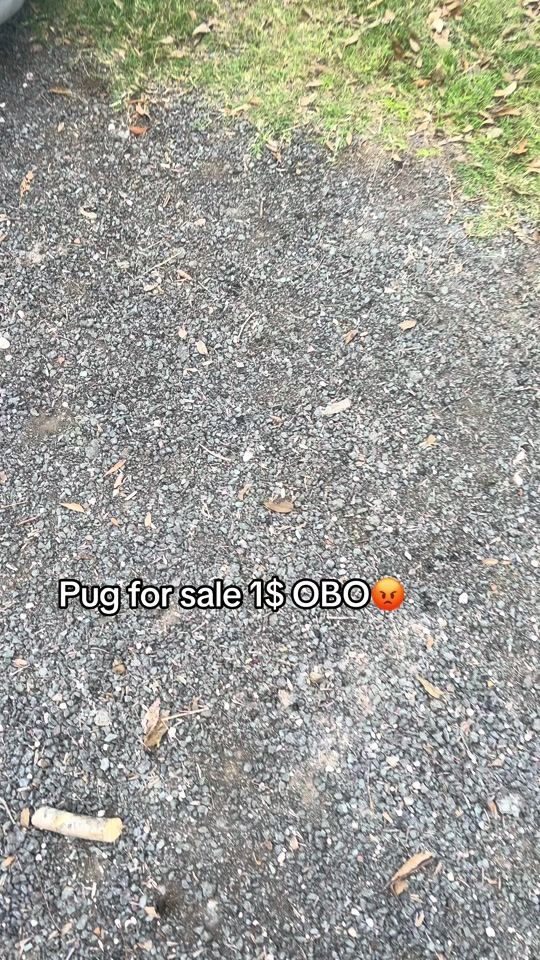 TikTok video thumbnail by liilooo69