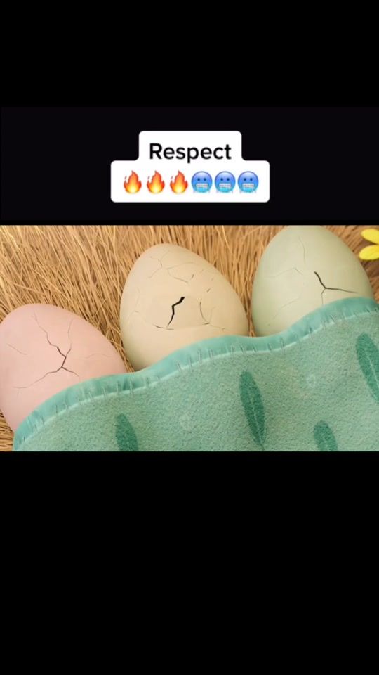 TikTok video thumbnail by respect_cajk
