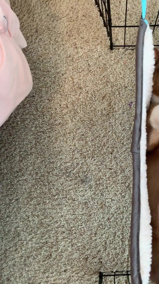 TikTok video thumbnail by rocco