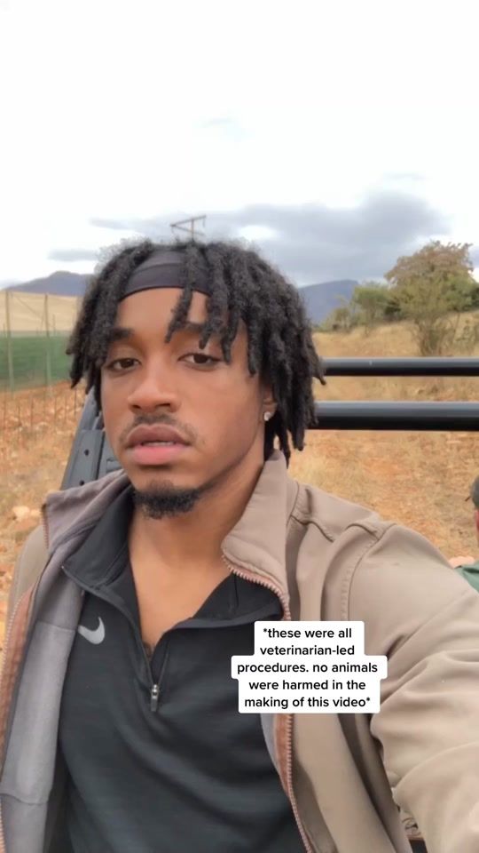 TikTok video thumbnail by thejunglevet