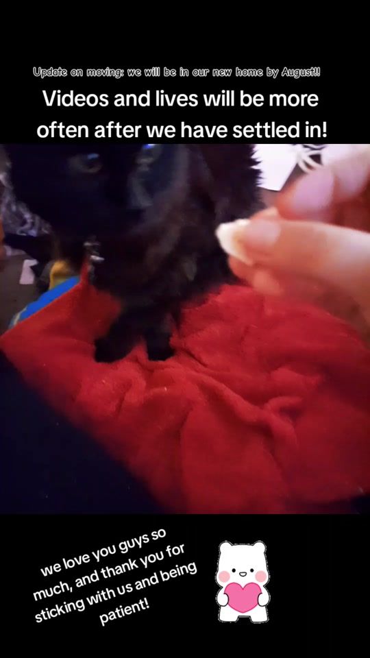 TikTok video thumbnail by mickyboo0254