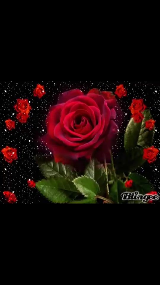 TikTok video thumbnail by xiomara1299