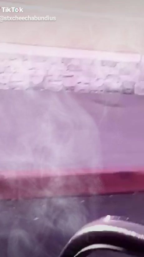 TikTok video thumbnail by cheechstx