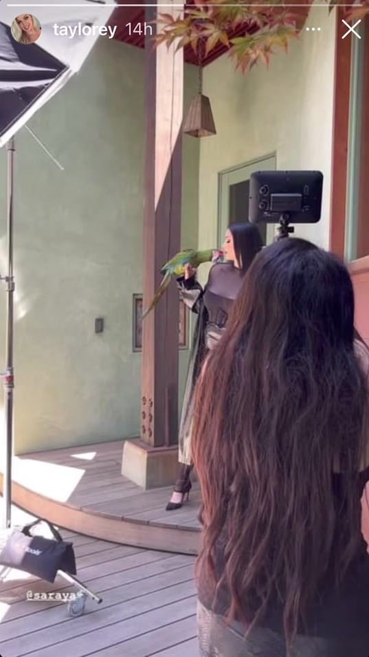 TikTok video thumbnail by ronbonradkee