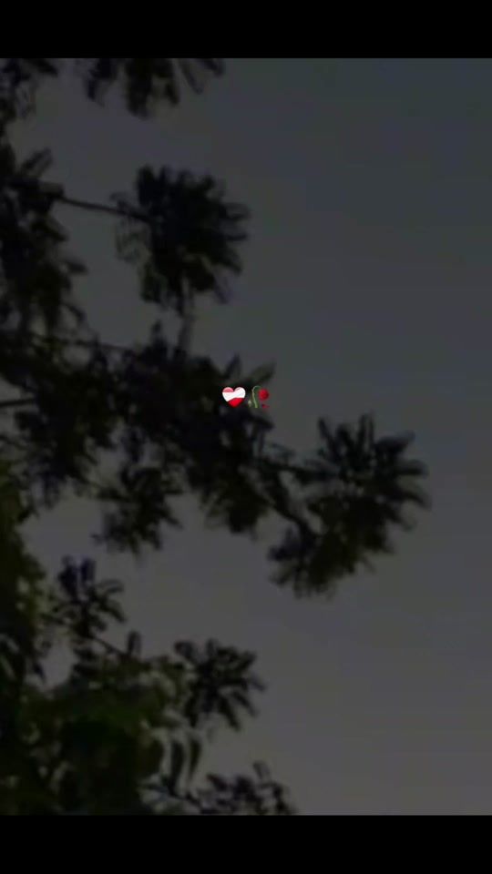 TikTok video thumbnail by witzimin