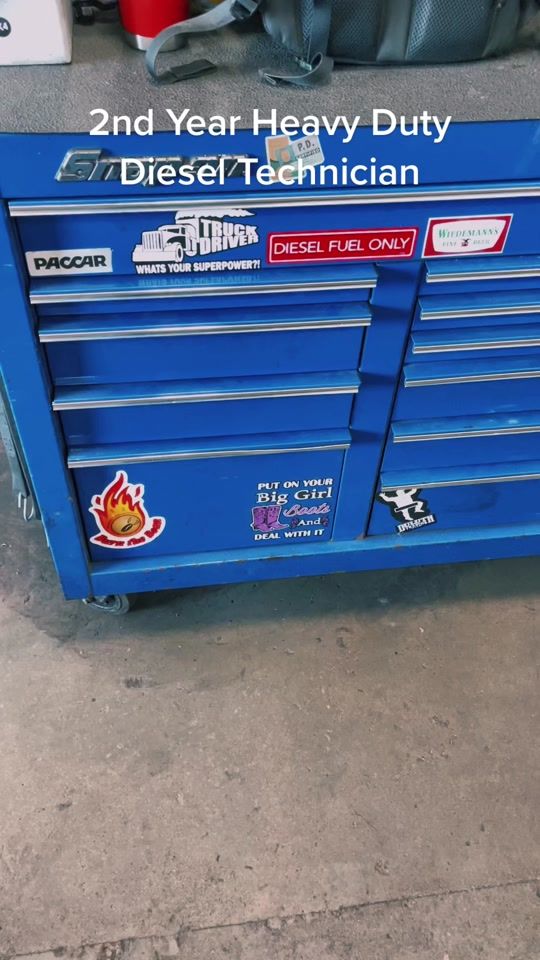 TikTok video thumbnail by papaplaid