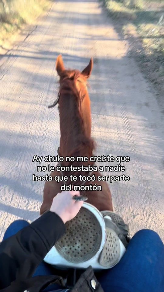 TikTok video thumbnail by mirleydic