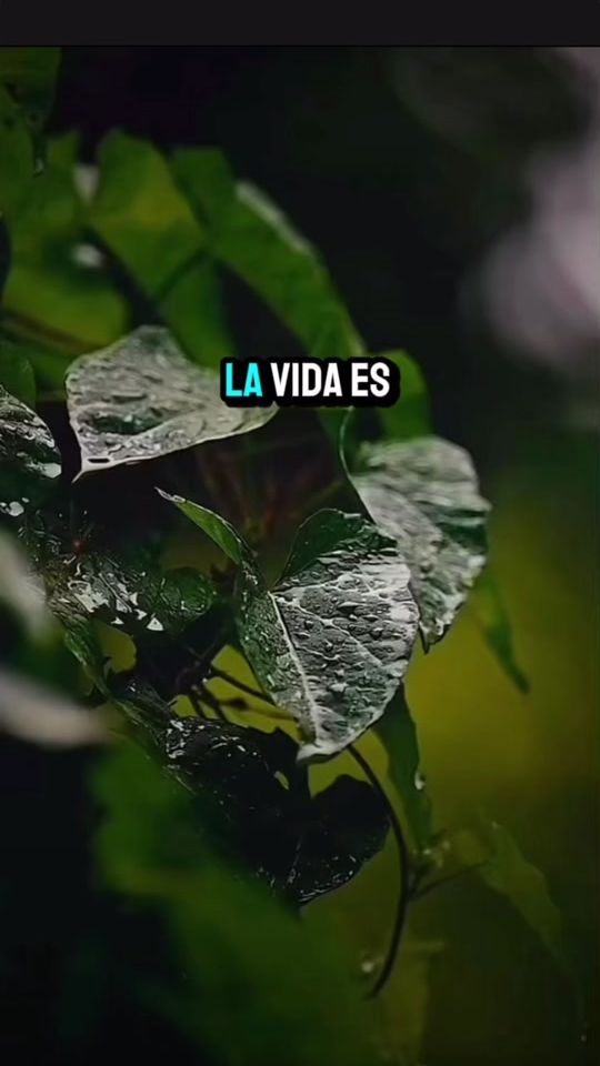 TikTok video thumbnail by liliana_.merino