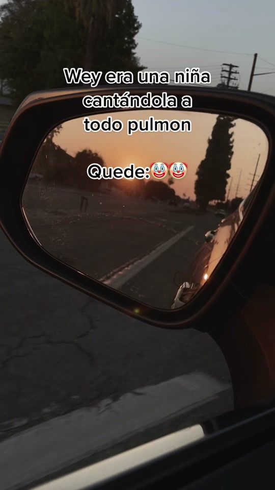 TikTok video thumbnail by _emelyner