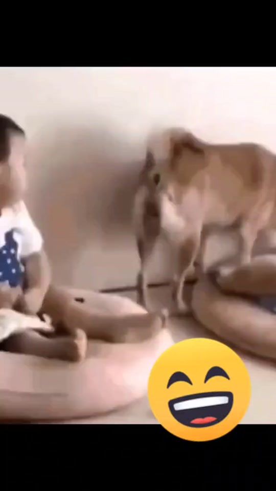 TikTok video thumbnail by sorlden1