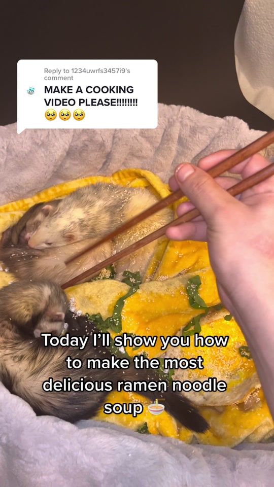 TikTok video thumbnail by floofnoodles