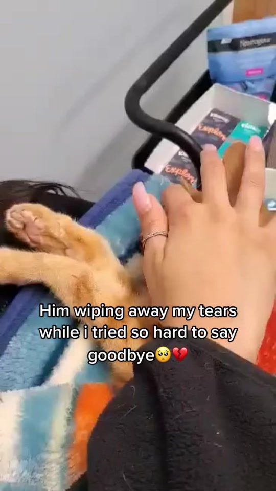 TikTok video thumbnail by jonniexoxo