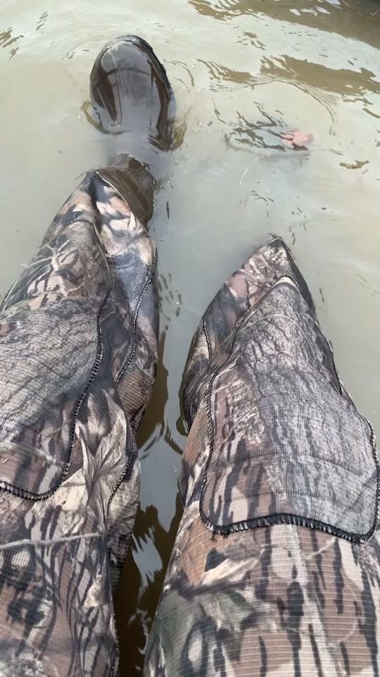 TikTok video thumbnail by taylorgibson_3