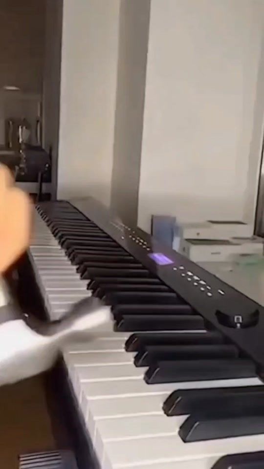 TikTok video thumbnail by johnathong_pork