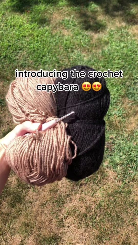 TikTok video thumbnail by grace_crochets
