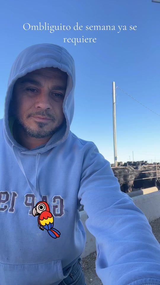 TikTok video thumbnail by carlosehuerigo