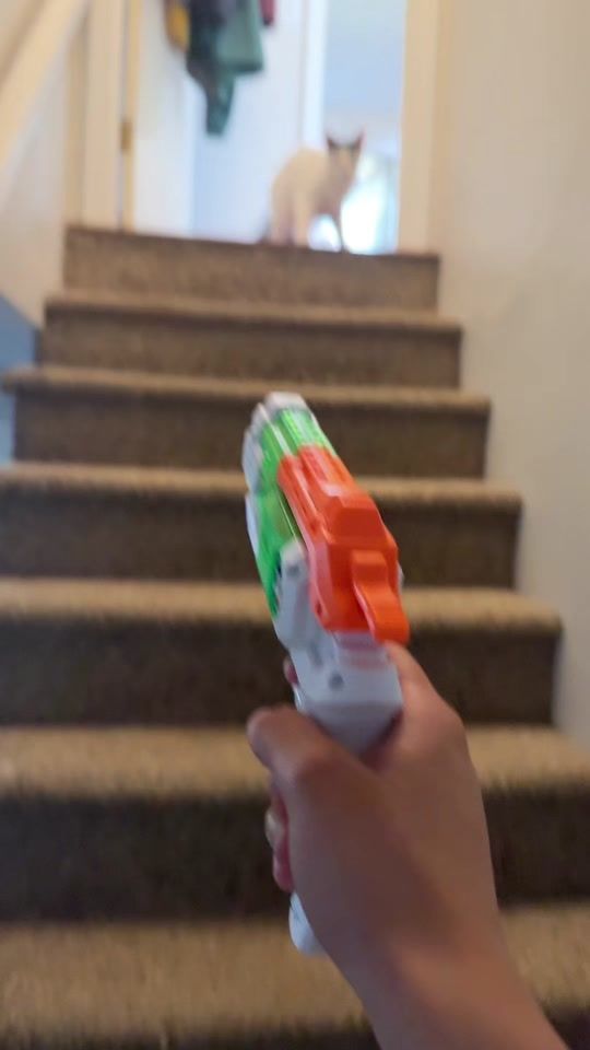 TikTok video thumbnail by kittygurll12