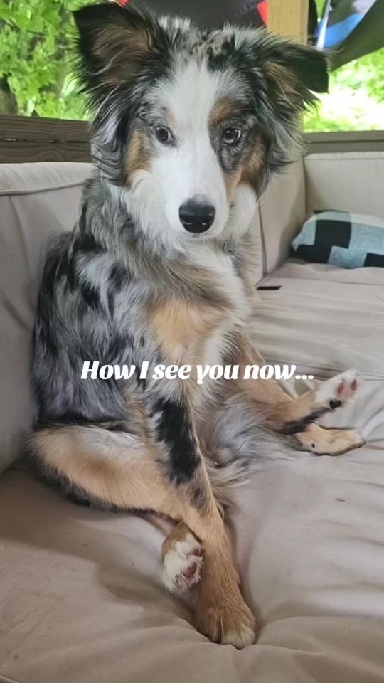 TikTok video thumbnail by liswright12