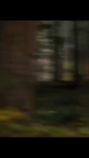 TikTok video thumbnail by wolfdoglover300