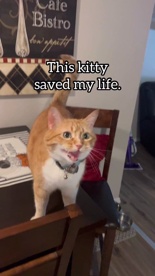 TikTok video thumbnail by maseplace