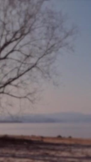 TikTok video thumbnail by musiclyrics_103