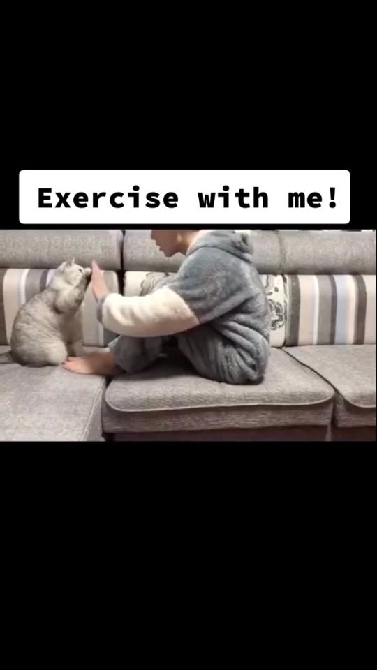 TikTok video thumbnail by tenlibin