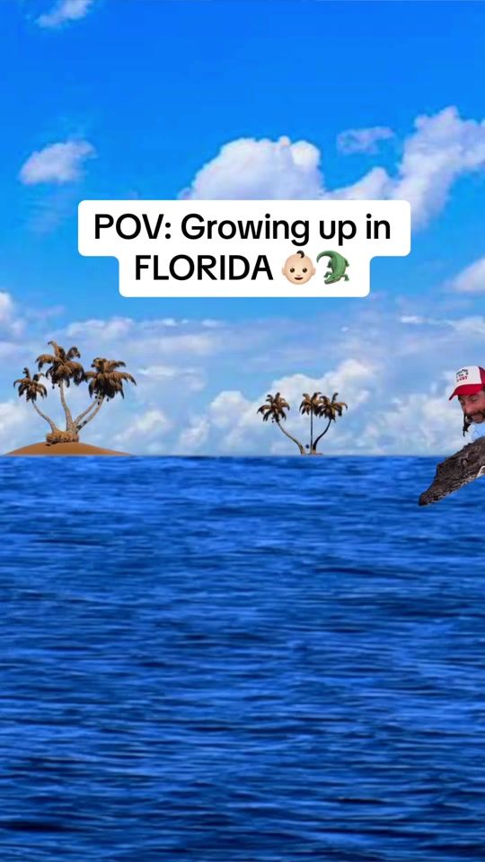 TikTok video thumbnail by alligatorbundy