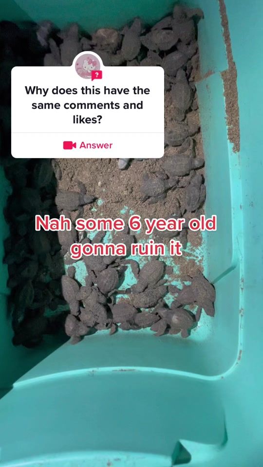 TikTok video thumbnail by imakecoolvideos___2