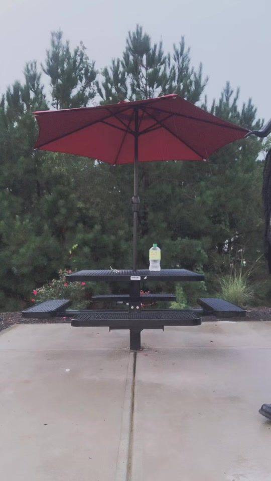 TikTok video thumbnail by tatesa60