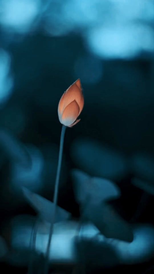 TikTok video thumbnail by muhammad_milhaan