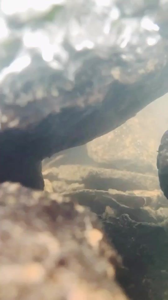 TikTok video thumbnail by creatingwonders