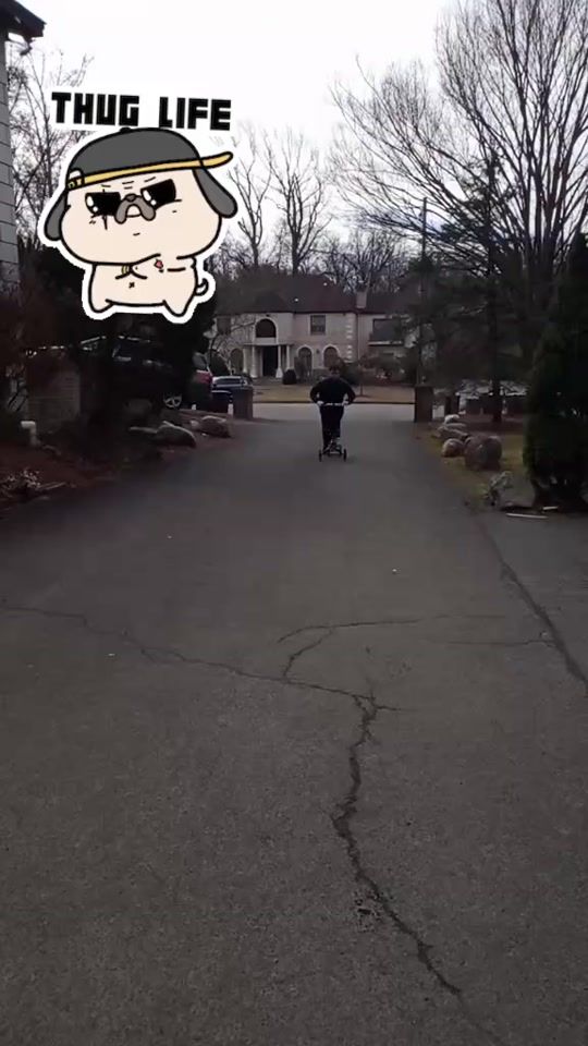 TikTok video thumbnail by noochdog01