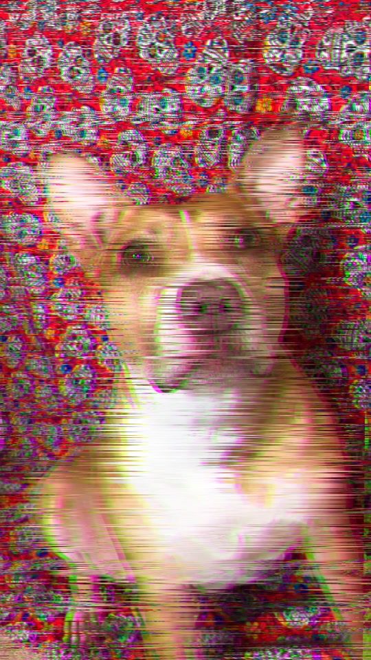 TikTok video thumbnail by flooky
