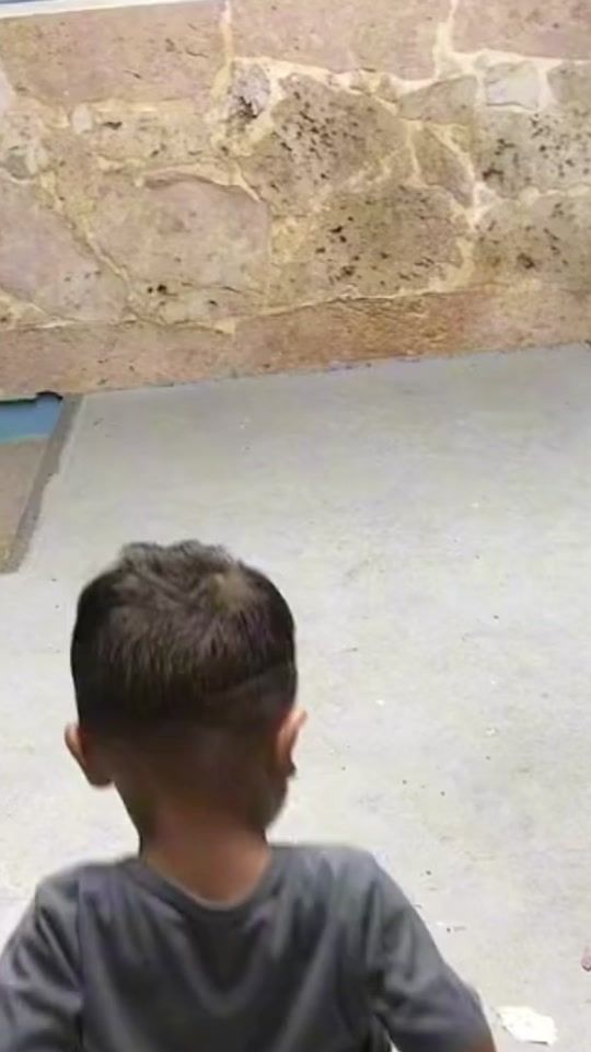 TikTok video thumbnail by .nyzer