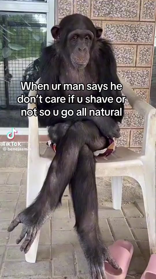 TikTok video thumbnail by cristinatphx