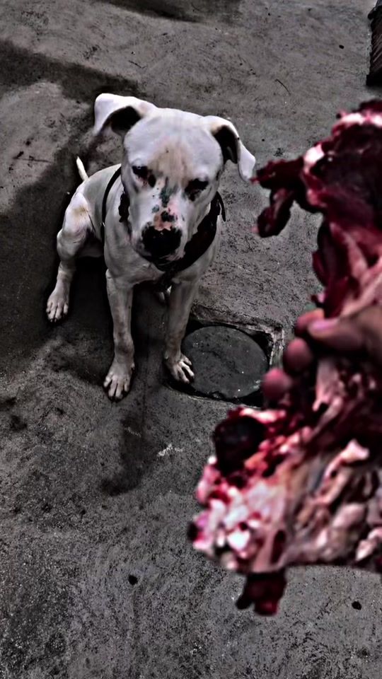 TikTok video thumbnail by andrickpo