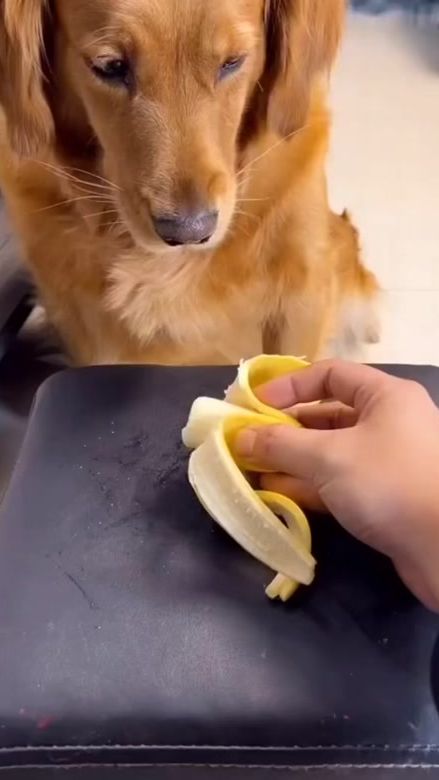TikTok video thumbnail by ocjck1983