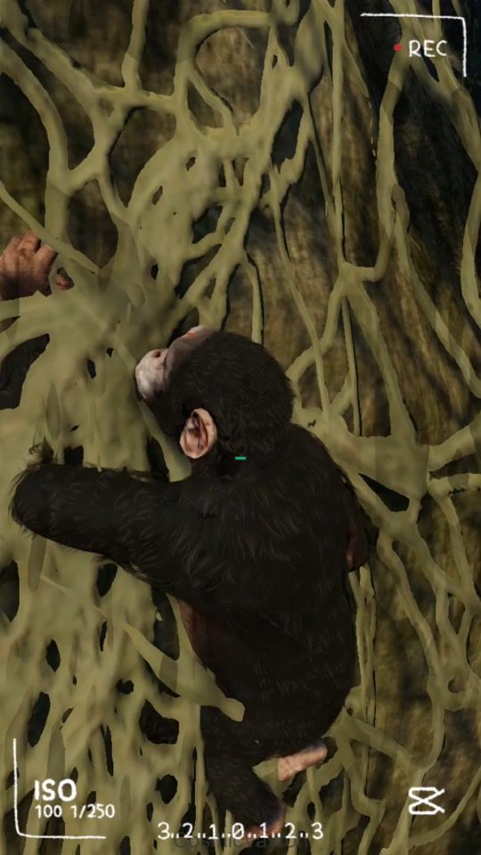 TikTok video thumbnail by cosmicvayron