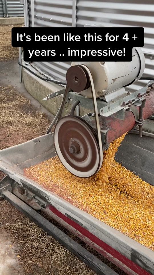 TikTok video thumbnail by farmersid4020