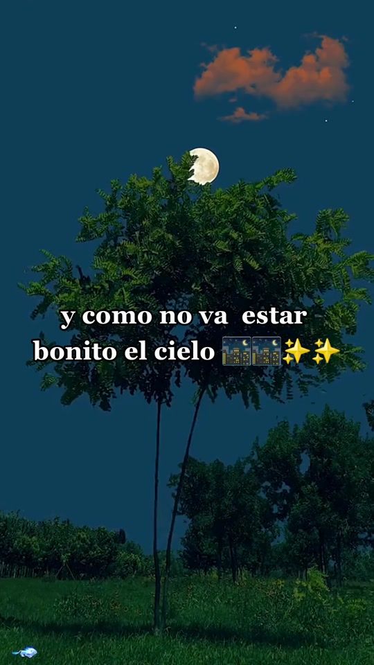 TikTok video thumbnail by frasesparati753