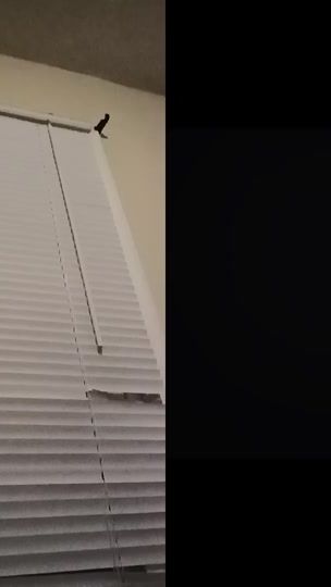 TikTok video thumbnail by natashacave