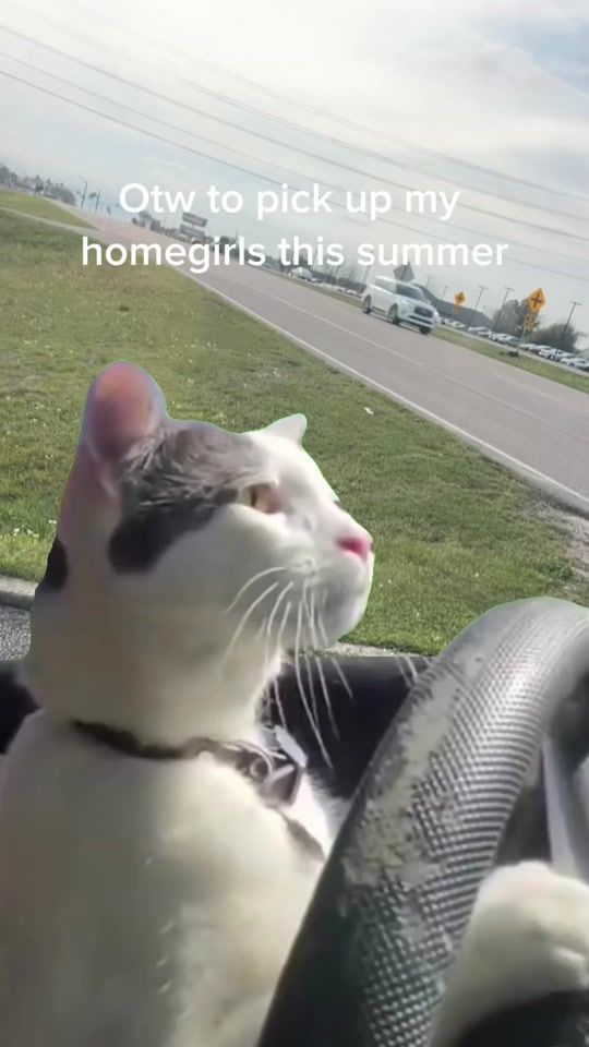 TikTok video thumbnail by talenasada18