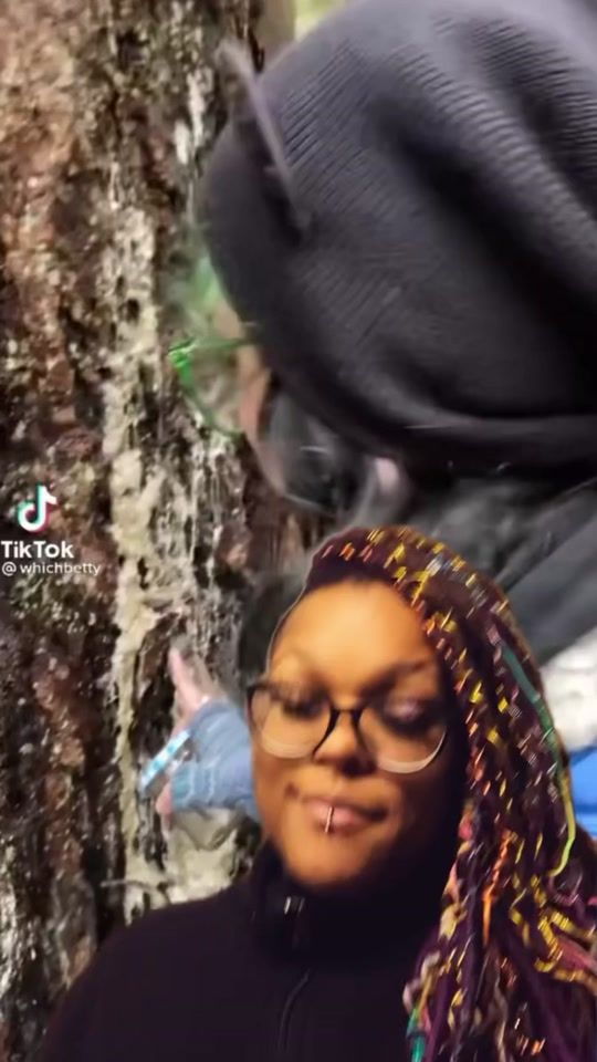 TikTok video thumbnail by archery_empress