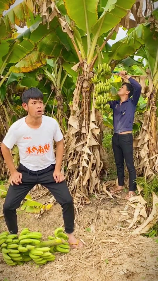 TikTok video thumbnail by amusing56