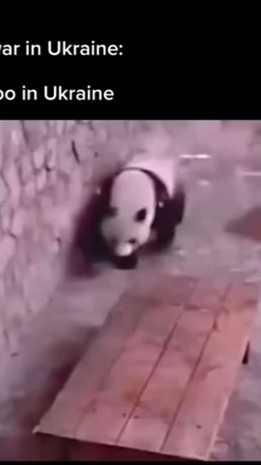 TikTok video thumbnail by wildlifecentral1