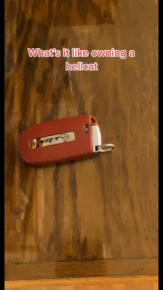 TikTok video thumbnail by slw.cat