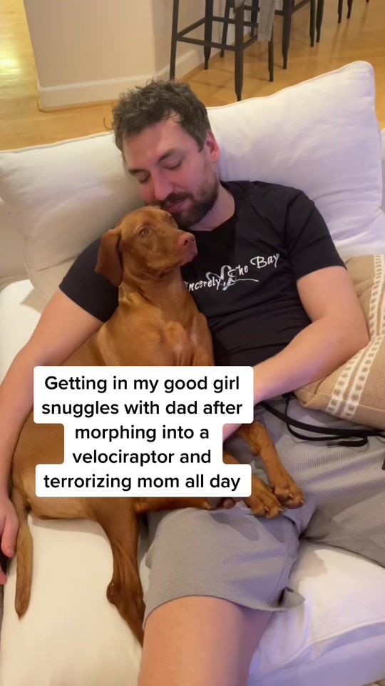 TikTok video thumbnail by parkerthevizsla