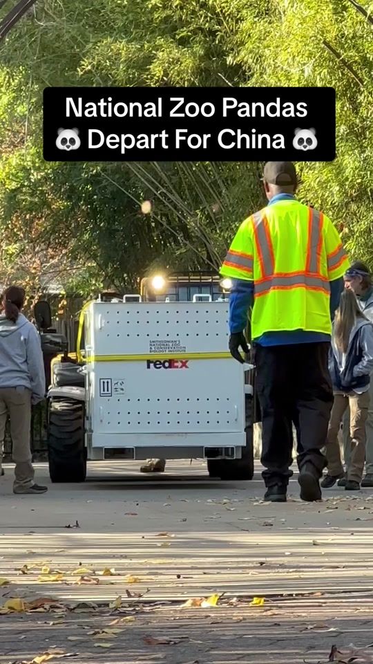 TikTok video thumbnail by washingtonianmag