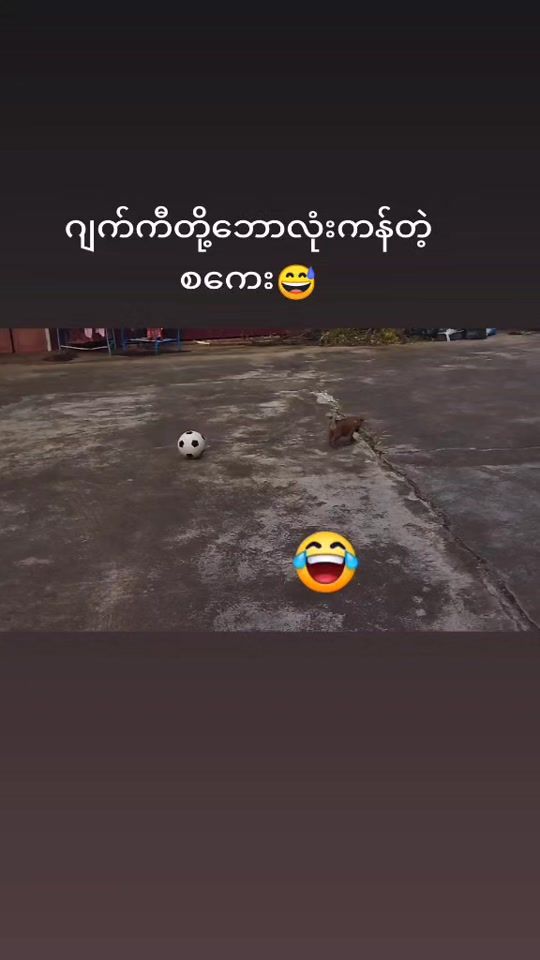 TikTok video thumbnail by eieitheint722